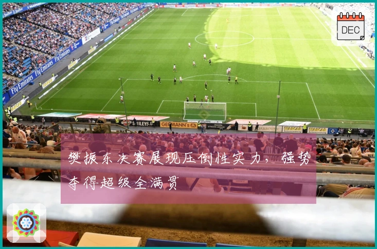 樊振东决赛展现压倒性实力，强势夺得超级全满贯