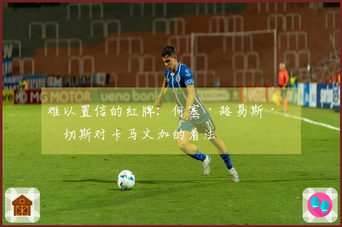 难以置信的红牌：何塞·路易斯·桑切斯对卡马文加的看法