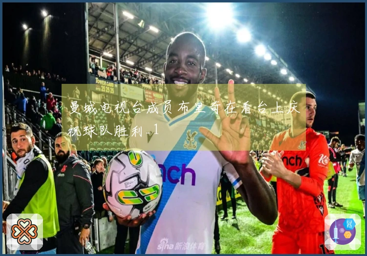 曼城电视台成员布里奇在看台上庆祝球队胜利_1