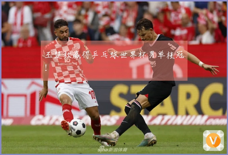 王楚钦赢得乒乓球世界杯男单桂冠！