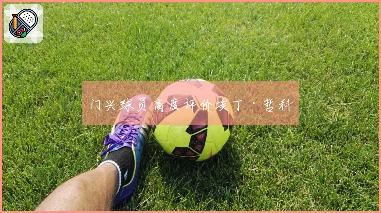 门兴球员高度评价埃丁·哲科