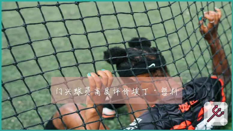 门兴球员高度评价埃丁·哲科